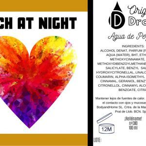 Perfume Rich at Night completo 100ml para ella