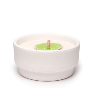 Cereria molla Vela grande exterior citronela y menta 625g
