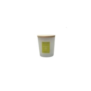 Vela Artesanal Cereria Mollá Citronela & Mint 180g