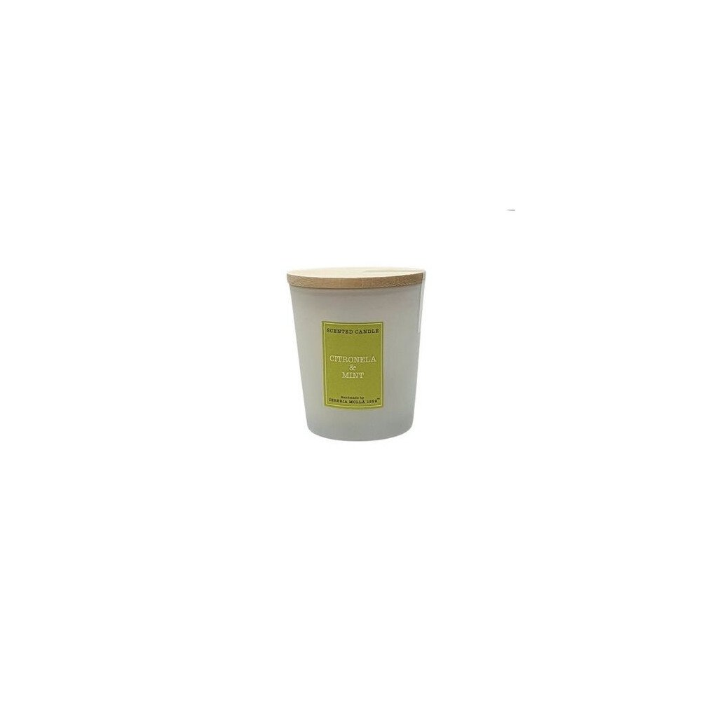 Vela Artesanal Cereria Mollá Citronela & Mint 180g