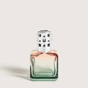 9f35e28eb6f70d4f52746695d0fdd3264fd7ff22_004897_GLACON_LAMPE_PECHE_VERTE_2500x3100_P_2 – copia